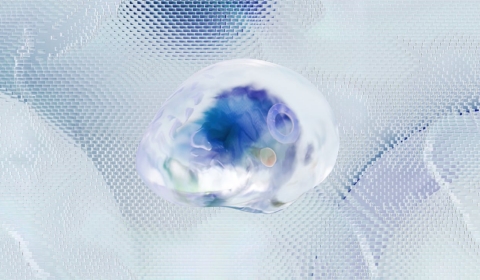 pexels-googledeepmind-17483869